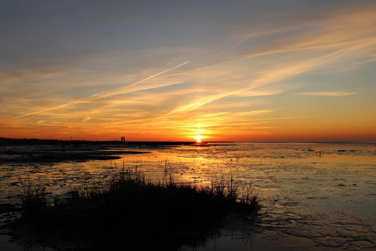Kleiner Seestern Cuxhaven Luaran gambar